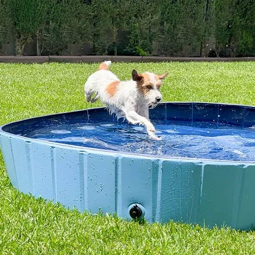 Piscine pour chien (3 tailles au choix)