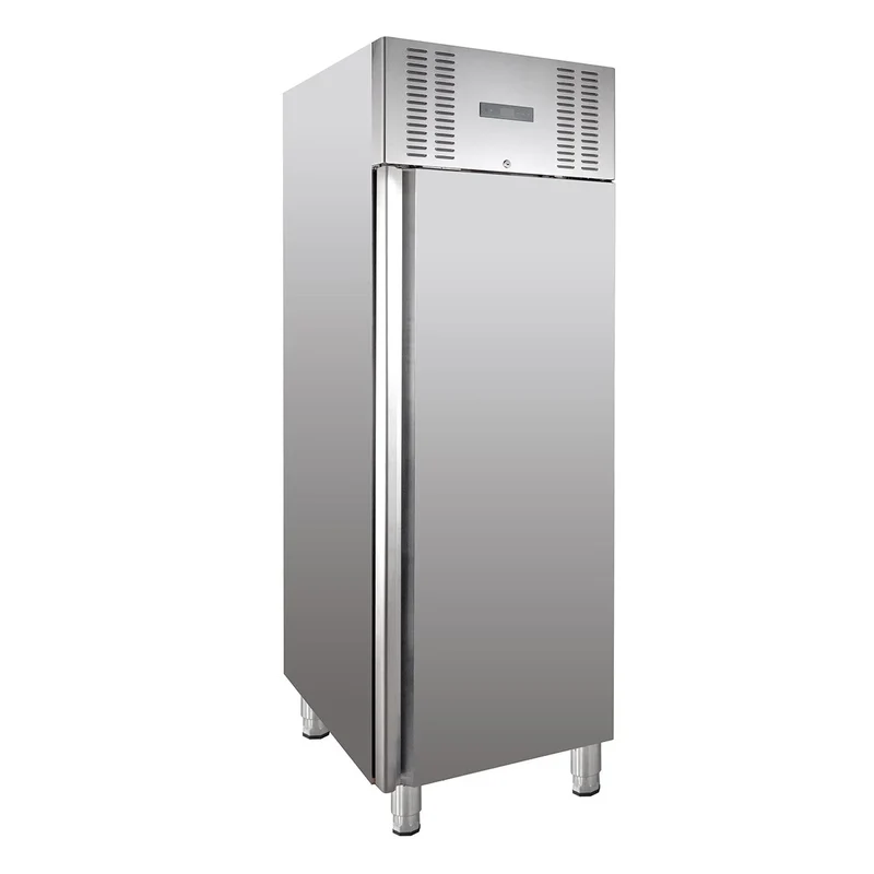 Armoire de congélation ELINE 650 GN 2/1 Monobloc - haute efficacité énergétique
