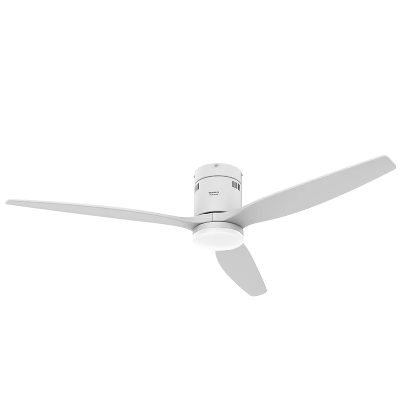 POLAR 3B PURE