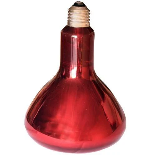 Lampe Infrarouge 250 W. pour portée chiots
