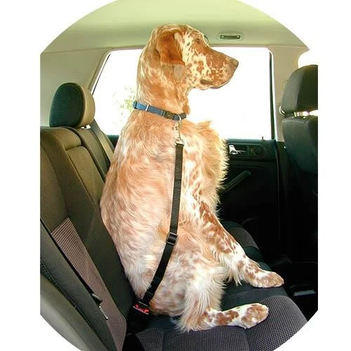 Lanière de Sécurité pour Chien en Voiture