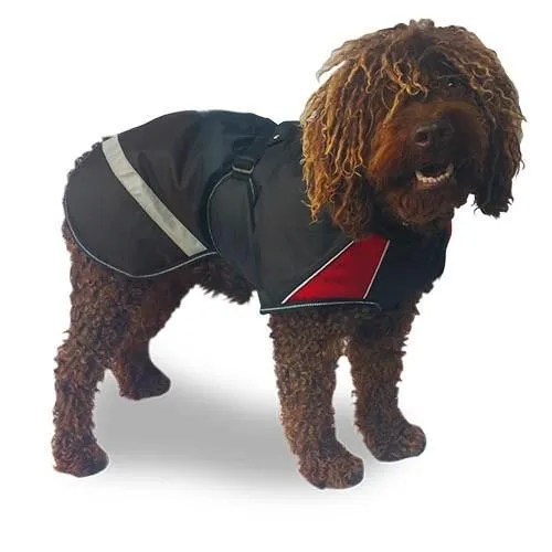 Manteau Chien Street Breathe Comfort