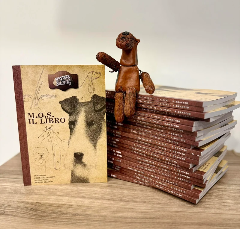 Masters Of Stripping (M.O.S.) Livre en Anglais par Chiara Piccionetti, Nicola Pisani et Ramona Braccio