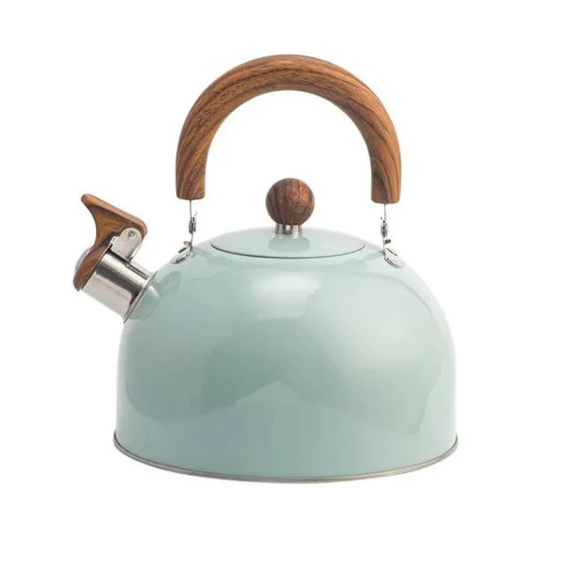 Classic Whistling Kettle for Home Kitchen