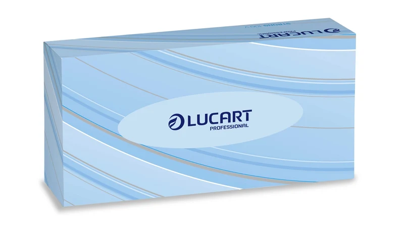 LUCART Mouchoirs blancs STRONG 2 Plis 100 feuilles